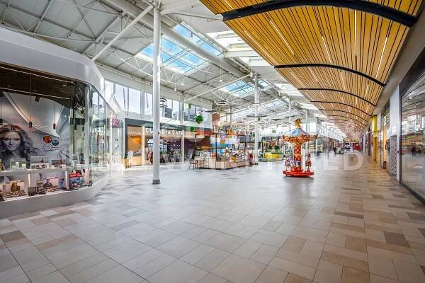 Olympia Teplice - Pronájem Cushman & Wakefield