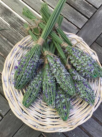 bunches of lavender flowers sitting in a wicker basket