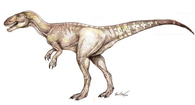 Tatanurae Theropoda testrekonstrukció