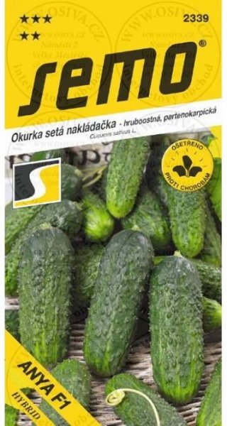 SEMO Okurka nakládačka DAFNE F1 (SM 5340) - hrubost 23382