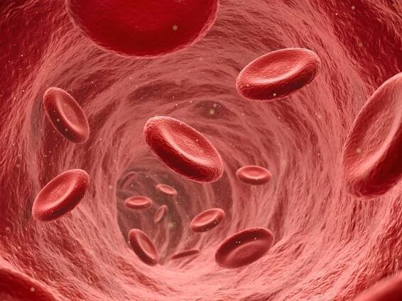 If blood is red, why do veins look bluish?