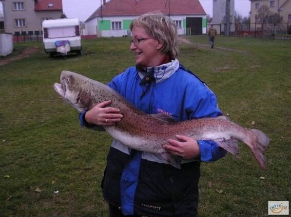Hlavatka obecná, 122 cm, 15.5 kg