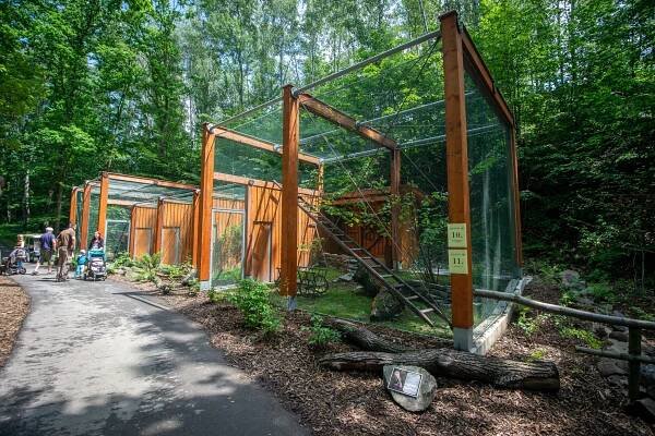 Zoo představila nové voliéry pro sovy a orly