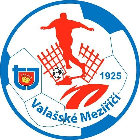 TJ Valašské Meziříčí