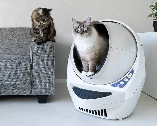 Two cats and a Litter Robot 3