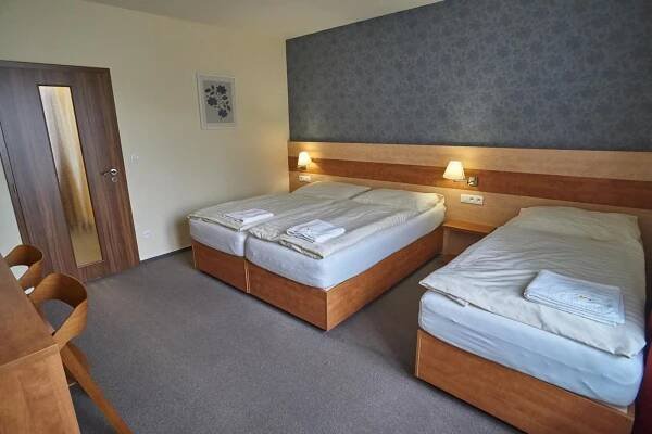 Postel nebo postele na pokoji v ubytování Hotel Toč