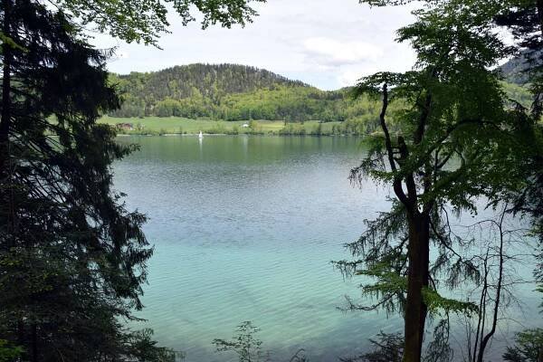 Fuschlsee