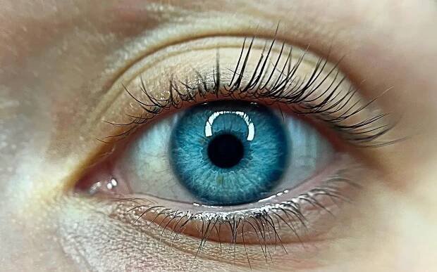 Slevomat: Barvení, lash lifting nebo laminace... - Skrz.cz