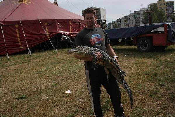 Berousek: Krokodýla nikdy neochočíte na sto procent