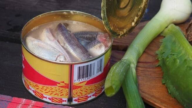 Surströmming: Jedno z nejsmradlavějších jídel na světě. Tuto rybu vyzkouší jen ti největší odvážlivci - Jimeto.cz