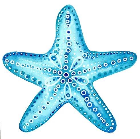 Starfish Paintings — Krista Latow Designs