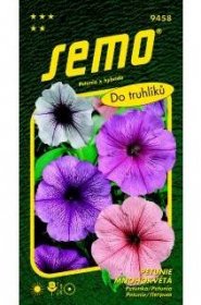 SEMO Petunie mnohokvětá do truhlíků 50…