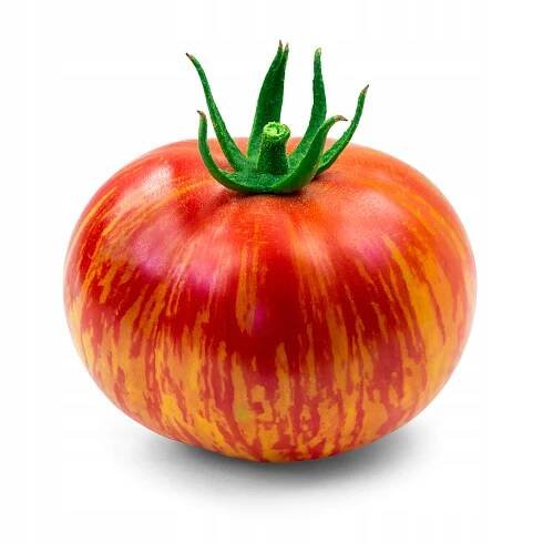 RAJČE PŮDNÍ DUO PRUHOVANÁ SEMENA BEZ GMO Druh rostliny rajčata