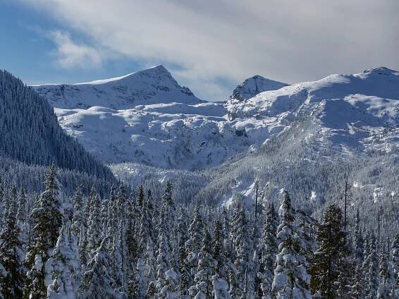 Our History - Comox Valley Land Trust