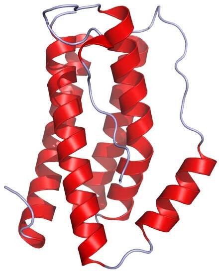 Interleukin-6