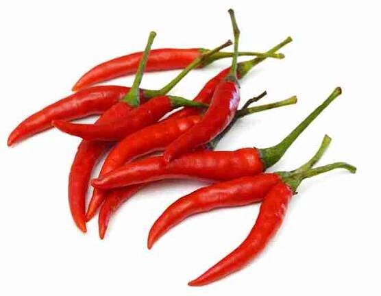 Products – Plantables