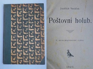 POŠTOVNÍ HOLUB 1923 !! holubník holubářství historie význam krmení  - Knihy