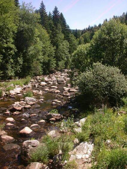Kořenov