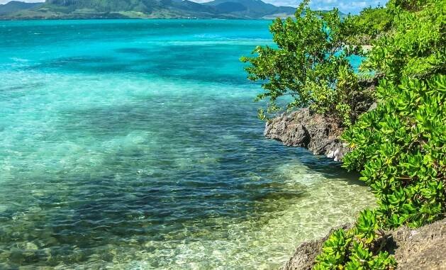 Ile aux Aigrettes