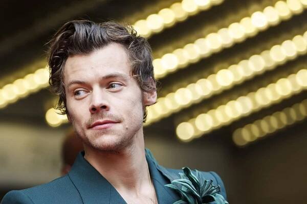 Sexspielzeug statt neuer Songs: Ein Stück Harry Styles fürs Nachtkästchen
