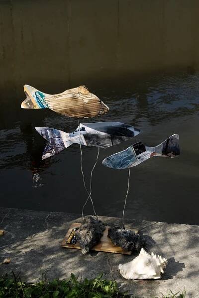 Shadow Fish. Photographer Anna Nazarova