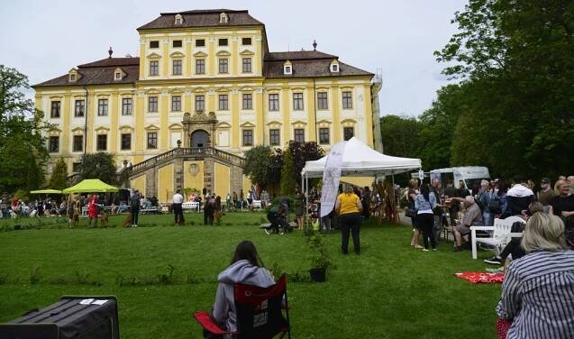 OBRAZEM: Štěkot na zámku Červený Hrádek. Jeho park obsadili lovečtí psi