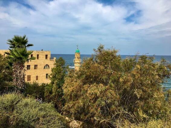 Ausblick in Tel Aviv Jaffa Richtung Andromeda-Felsen