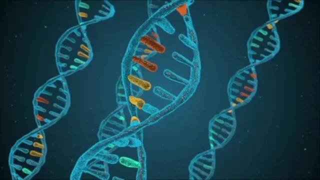 Animace digitální DNA