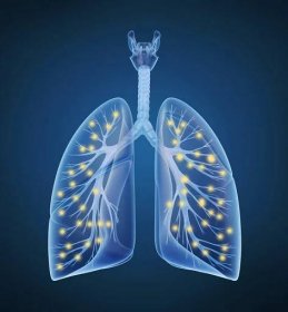 Člověka plíce a průdušky a kyslíku v rentgenové zobrazení — Stock obrázek