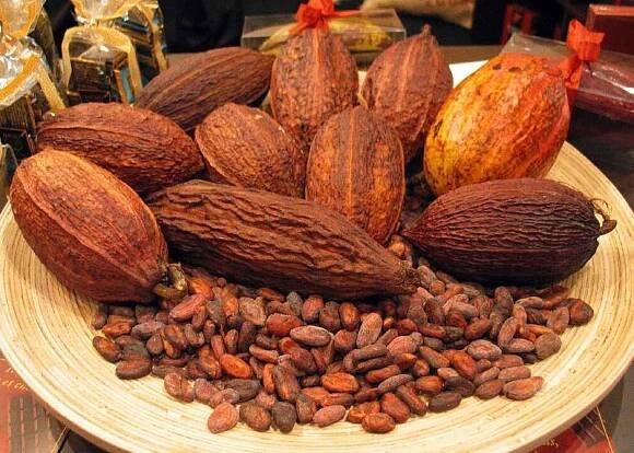 Experiencing the Richness of Cocoa Beans: A Journey into the World of Chocolate - Transparency Market Research Blog