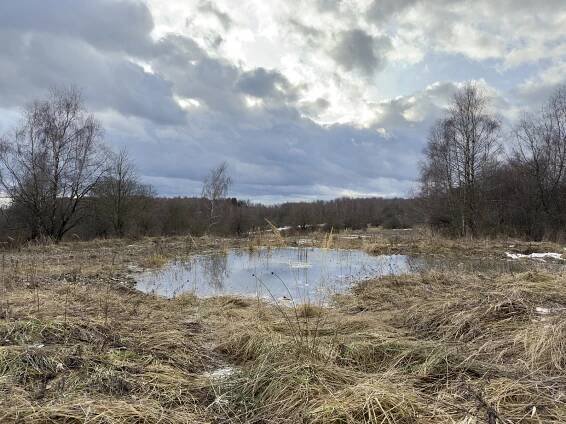 Jestřabí: Zaniklá obec ve vojenském újezdu Libavá skrývá tajemnou historii