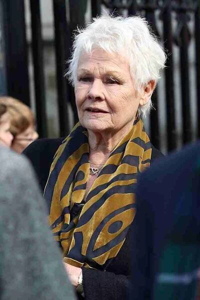 Judi Dench Opens up About Her Sad Health Battle | Araniea