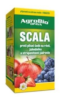 003267 Scala 50ml