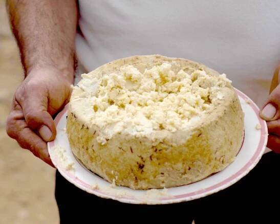 Su Casu Marzu