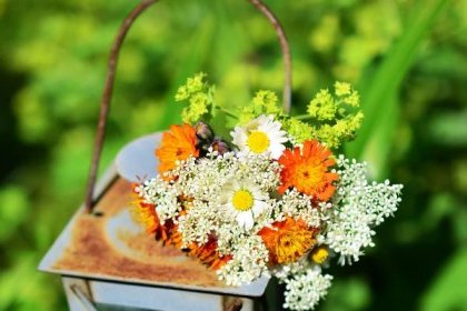 Luční svatební kytice – 10 tipů, jak si uvázat kytici z lučních květin