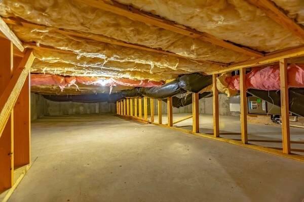 Detect Mold in a Crawl Space - Mold Remediation Long Island