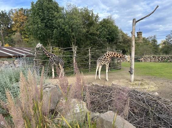 Blízká setkání se zvířaty v plzeňské zoo