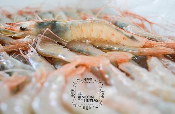 Gamba Blanca de Huelva