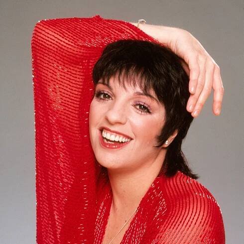 Liza Minnelli facts: Singer's age, husband, children, parents, height and films revealed