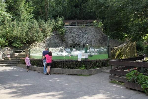 ZOO Liberec - otevírací doba, vstupné, ubytování, zvířata, ceník, akce