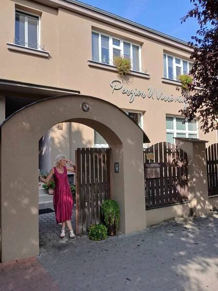 Penzion U Vinné révy foto 3