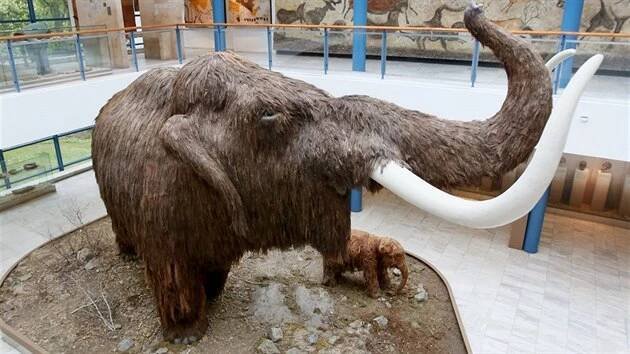 Čtyřmetrový mamut dominuje brněnskému pavilonu Anthropos už od jeho otevření v roce 1962.