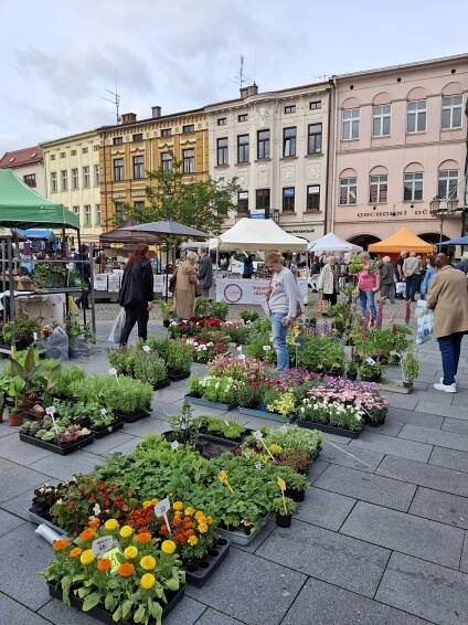 Beskydský farmářský trh 22.5.