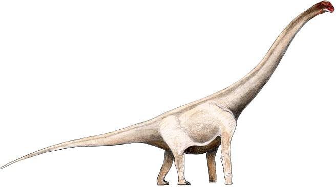 Angolatitan