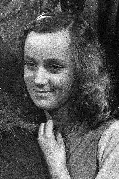 Pohádka z Větrného lesa 51% [A Tale from the Windy Forest] (1976)