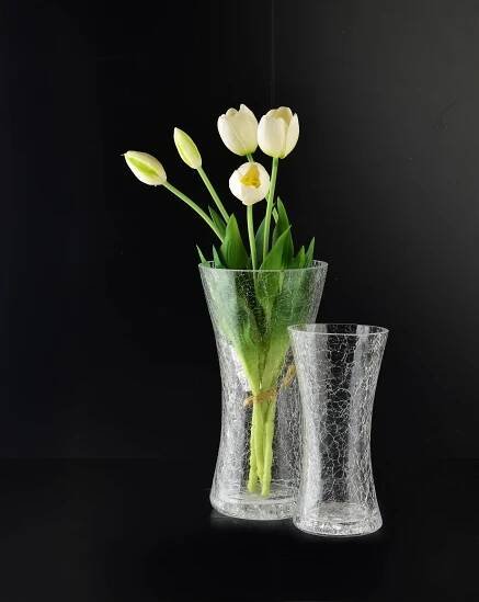 Skleněná váza Serenite 9,5x19,5 cm čirá - Houseland.cz