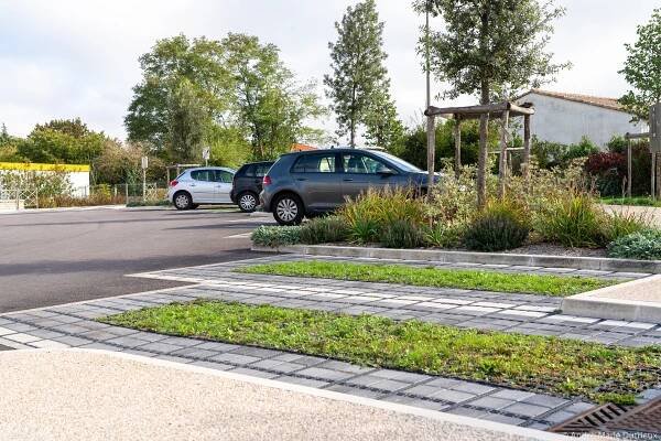 Základní škola - ECORASTER.cz