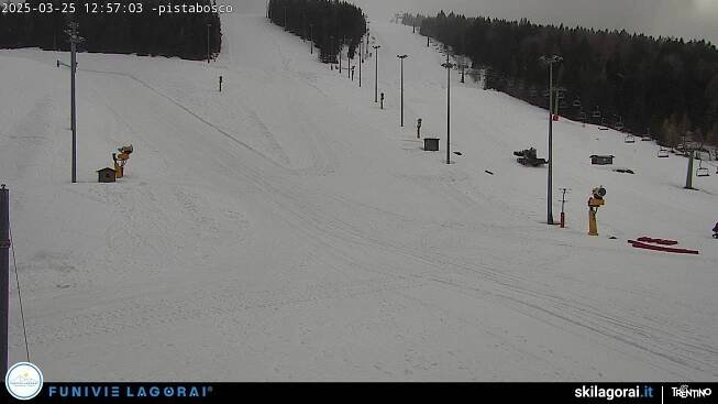 Webcam Heidi Pista Bosco