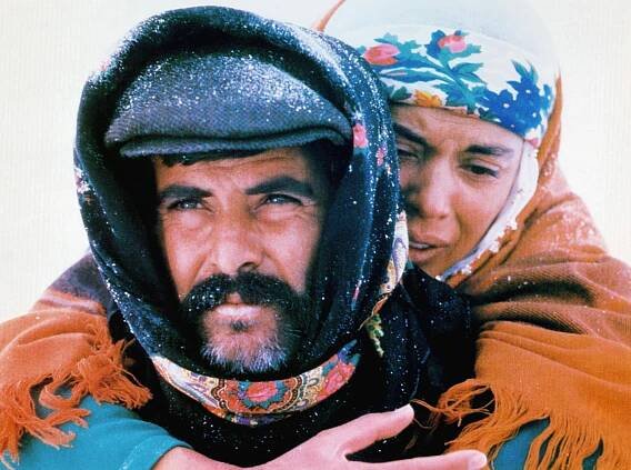 Cannes Film Festival Palme d'Or Winners Full List: Photo Gallery