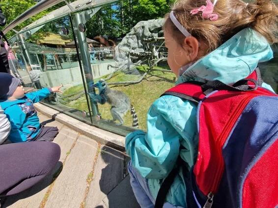 Výlet do ZOO Olomouc